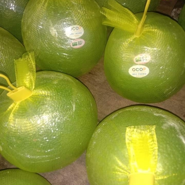 Bưởi da xanh loại từ 1,5-2kg/trái Combo 2 trái