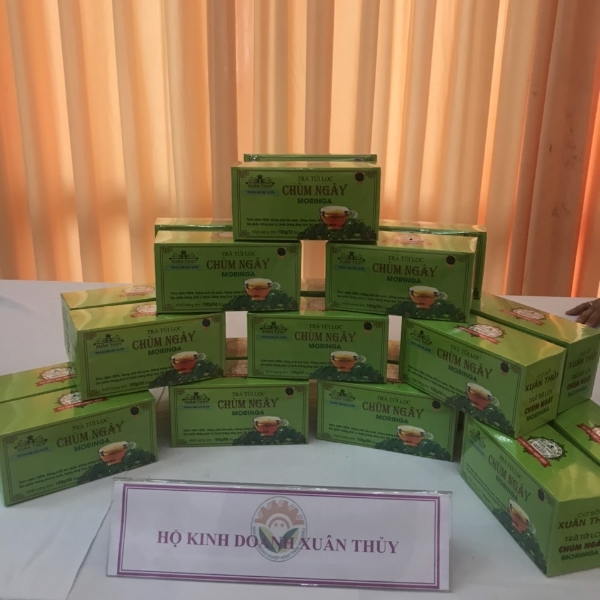 OCOP - TRÀ TÚI LỌC CHÙM NGÂY - XUÂN THỦY - 50 TÚI LỌC/HỘP-100g